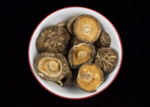 Le shiitake en mycothérapie : un champignon médicinal aux effets reconnus