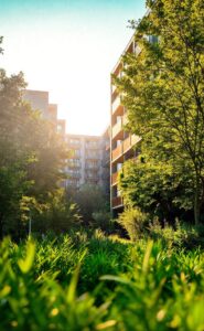 Amazonie toulouse : le guide local