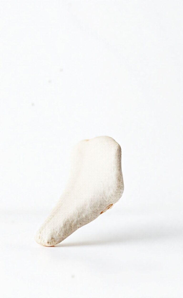 Douleur au coccyx : comprendre et agir 8 coccyx