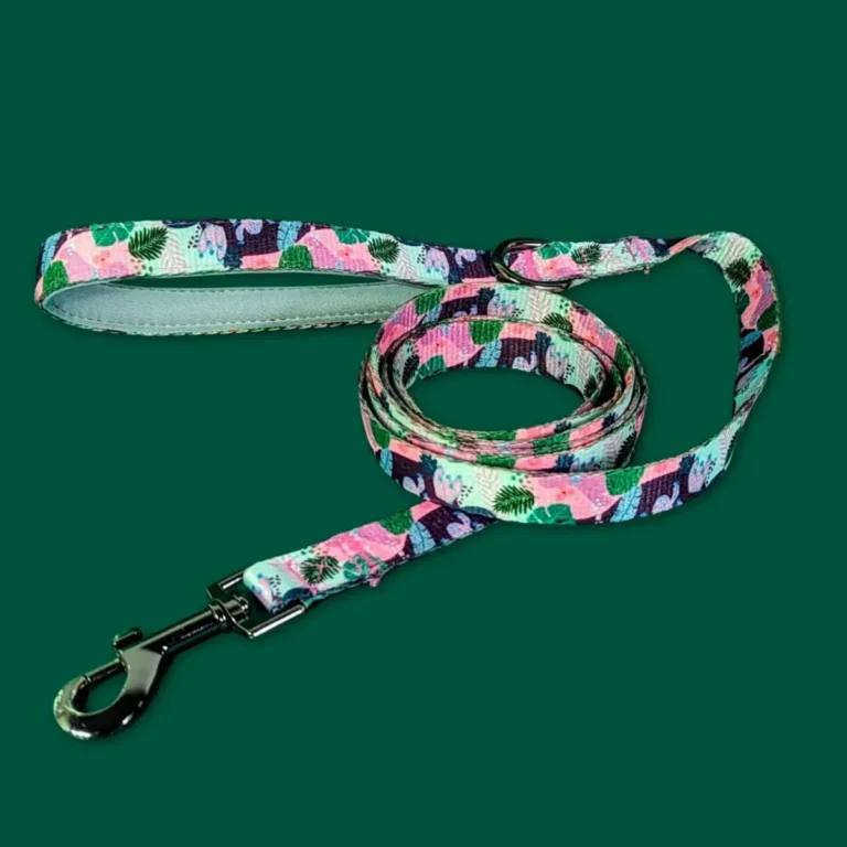 Quel type de laisse pour chien choisir ? 1 Laisse-originale-pour-chien-Cactus