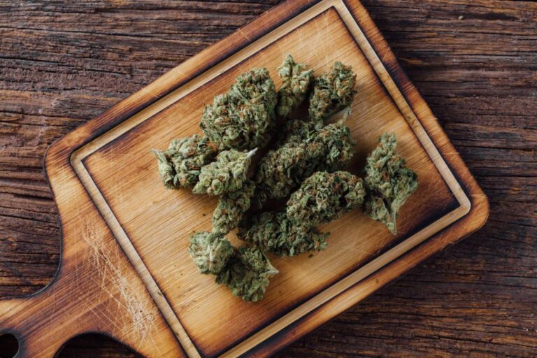 Fleurs de CBD : ce que les terpènes révèlent sur leur qualité 1 Fleurs de CBD