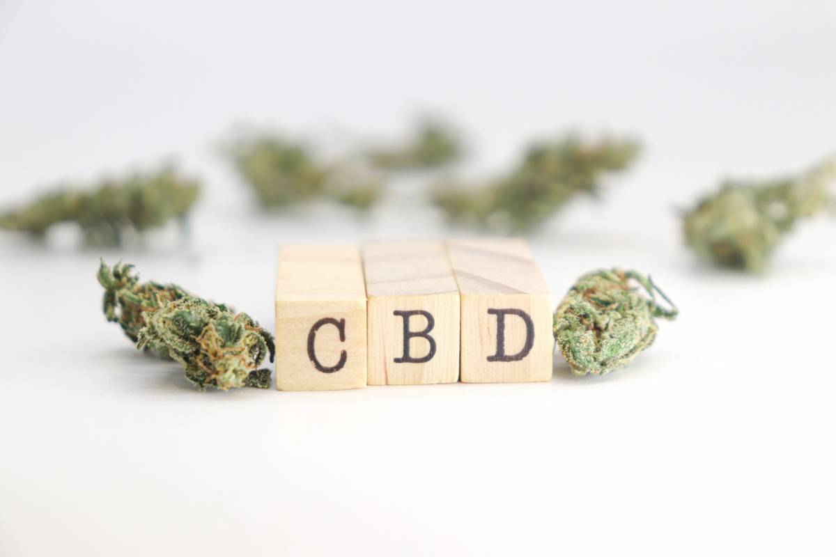 CBD pas cher : la qualité est-elle toujours au rendez-vous ? 1 CBD pas cher
