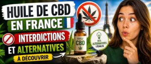 Interdiction de l’huile de cbd en France : ce qu’il faut savoir sur l’huile cb2