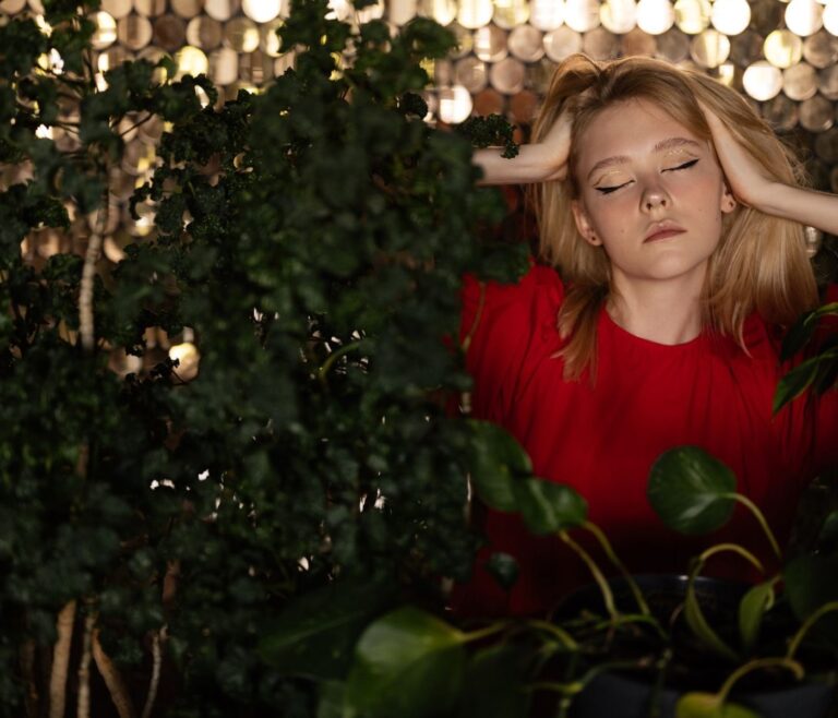 5 plantes adaptogènes vaincre le stress quotidien 6 5 plantes adaptogènes vaincre le stress quotidien